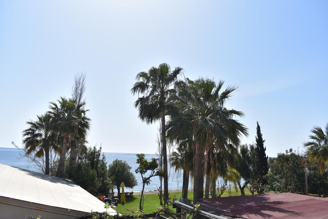 Andreas & Melanie Beach Hotel Governors Beach Bagian luar foto