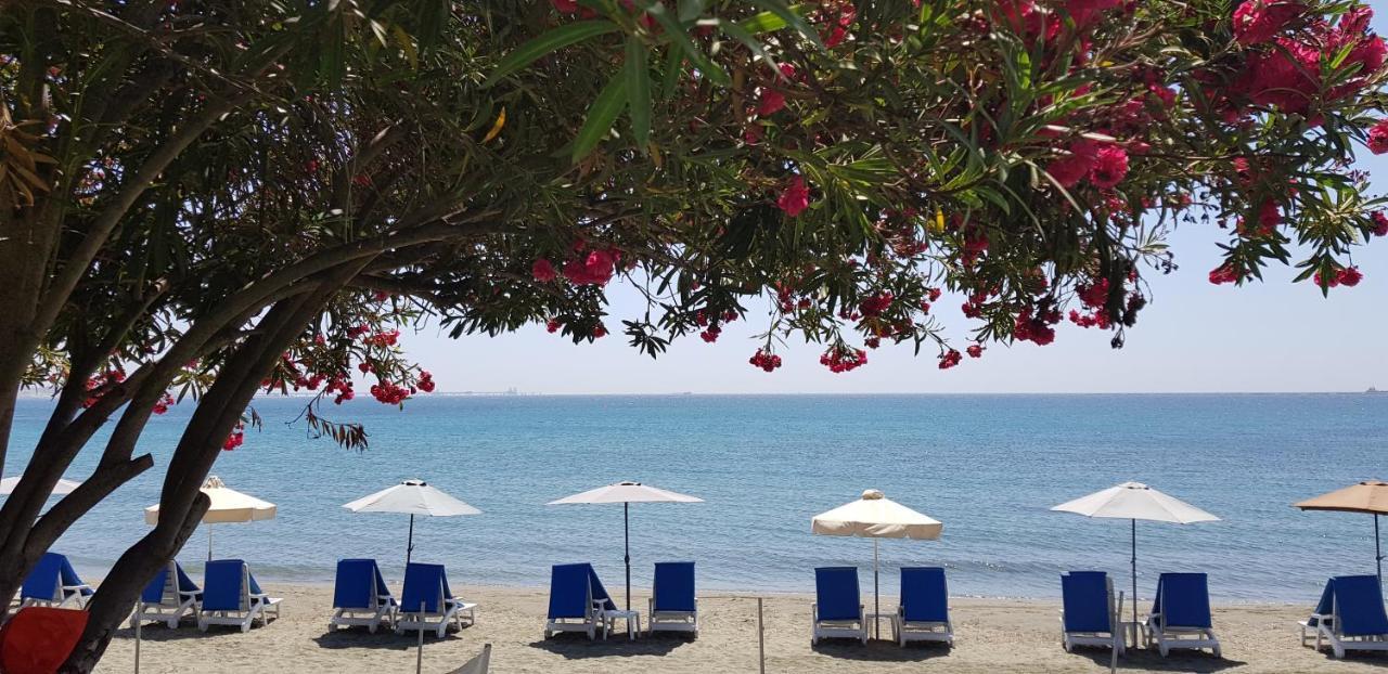 Andreas & Melanie Beach Hotel Governors Beach Bagian luar foto